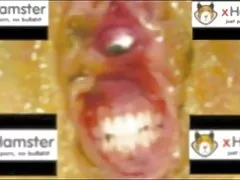 Se porno moms i strømper mand cums i røv smukke hustru, før arbejdet